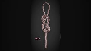 A Figure Eight Loop anchor knot [upl. by Wolfgang901]