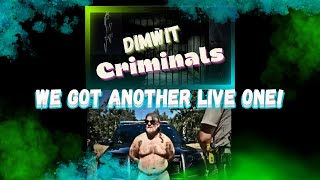 Dimwit Criminal Episode  Sept 17 2024 [upl. by Erdnassac]