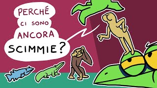 La legge del PESCE PELOSO [upl. by Yesmar]