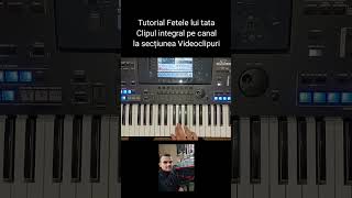 Tutorial  Fetele lui tata [upl. by Euqinomod]