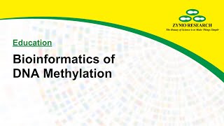 Bioinformatics For Genomewide DNA Methylation Sequencing  Zymo Research [upl. by Jovita]