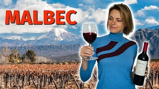 Wine Grapes 101 MALBEC [upl. by Bertila]