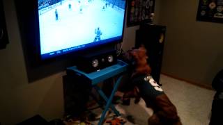 Sports loving dog watching Wild hockey [upl. by Toddy]