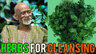 Dr Sebi Reveals Herbs For Cleansing [upl. by Heyra]