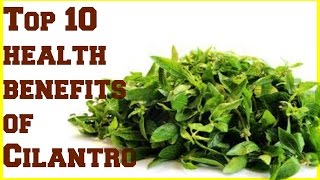 Top 10 health benefits of Cilantro [upl. by Tamma933]