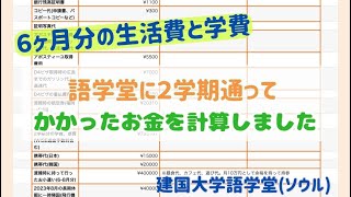 語学堂に２学期通って、かかったお金を計算しました【６ヶ月分の生活費と学費】建国大学大学語学堂ソウル [upl. by Iuqcaj818]