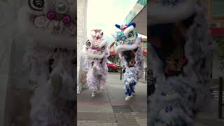 Cabramatta Moon Festival 2024 One Shot Wonder  Fairfield City Council [upl. by Irianat310]