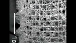 NanoEngineering Supermaterials [upl. by Leirda439]