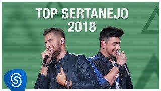 Top Lançamentos Sertanejo 2019  Os Melhores Clipes [upl. by Janka892]