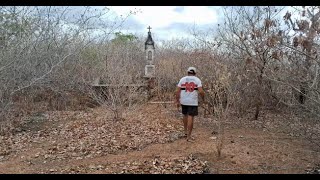 FAZENDA MORRO A ILHA MALASSOMBRADA [upl. by Metsky]