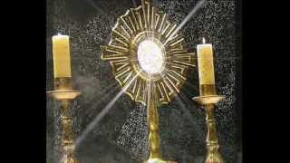 Sono qui a lodarti Corpus Domini 2012wmv [upl. by Rexford]