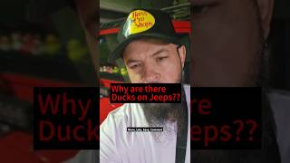 Why do Jeeps have ducks jeep ducks jeeplife [upl. by Enitsenrae]