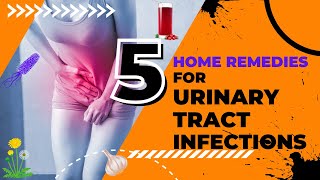 5 Home Remedies for Urinary Tract Infections  UTI Home Remedies  UTIs [upl. by Ahcsatan]