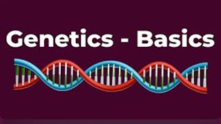 Developmental Psychology  BASICS OF GENETICS  Introduction to Genetics  DNA RNA Genes [upl. by Elocin]