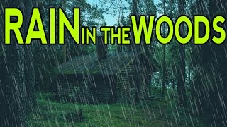 🎧 RAIN SOUNDS IN THE WOODS  Ambient Noise For Sleep Relaxation and Studying  Ultizzz day9 [upl. by Inaffit380]