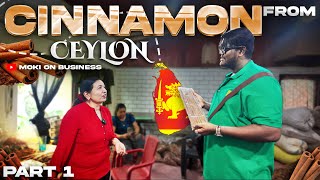 Worlds Best Cinnamon  Sri Lanka Part 1  Moki On Business [upl. by Redna]