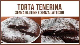 TORTA TENERINA AL CIOCCOLATO ricetta senza glutine e senza lattosio morbida e profumata [upl. by Mcwherter]