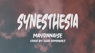 MAYONNAISE  SYNESTHESIA Lyrics [upl. by Ashby]