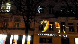 Running Tiger läuft auf der Wiener Ringstraße bewegt © Matthias Schickhofer [upl. by Reggy]