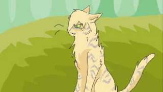 Tigerclaw is not one of thunderclan [upl. by Ellives960]