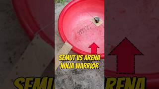 ARENA NINJA WARRIOR UNTUK KOLONI SEMUT eksperimen semuthitam semutmerah kemerdekaanindonesia [upl. by Skipton]