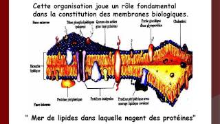 BIOCHIMIE TD Lipides [upl. by Coonan198]