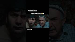 душанбе tajikistan точикистон кулоб худжанд рекомендации 2024 хисор помир shorts [upl. by Lucier]