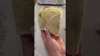 Toaster Tortilla Sandwich Quick amp Easy Recipe Hack [upl. by Oconnor840]