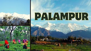 Palampur Himachal Pradesh  Pathankot to Palampur Road Trip by Bus Most beautiful place in Himachal [upl. by Ayanahs]