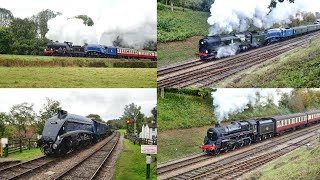 Bluebell Railway Giants of Steam Gala 12th amp 13th October 2024 [upl. by Michel189]