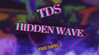 TDS  HIDDEN WAVE TRIUMPH  ft SBLN Zara and Gato [upl. by Mukund]