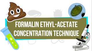 Formalin EthylAcetate Concentration Technique FEACT  UPLB Parasitology Research Laboratory [upl. by Cupo994]