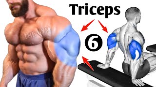 Triceps Workout At Gym  6 Effective Exercises [upl. by Isadore]