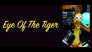 Eye Of The Tiger  Performed by Mr Chicken Official [upl. by Dray121]