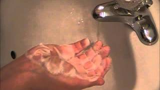 Aleppo Soap Lather Test  Hot Process HP  Laurel Berry Oil [upl. by Esahc]