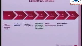 Embryogenèse de la douleur embryologie humaine descriptive développement embryonnaire [upl. by Onoitna]