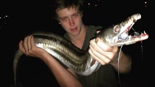 EP 2  MONSTER EEL FISHING  Catch n Cook  Using Freshly Caught MULLET  TDK [upl. by Eillam462]