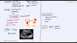 Gallbladder Diseases cholelithiasis choledecholithiasis cholecystitis cholangitis [upl. by Suivatra]