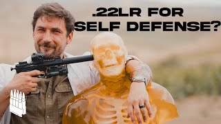 How Deadly Is A 22 Pistol 22 Pistol vs Human [upl. by Najar278]