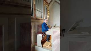 Orgel spielen  Bach JS Präludium BWV 556 [upl. by Prasad]