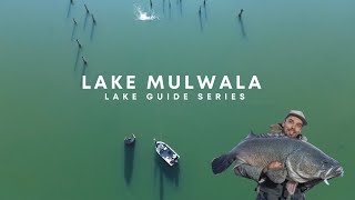 THE LAKE GUIDE SERIES  MULWALA MURRAY COD FISHING [upl. by Iorgo]