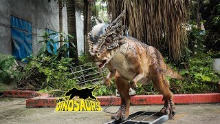 Realistic Dinosaur Animatronic Stygimoloch in Stock [upl. by Ike]