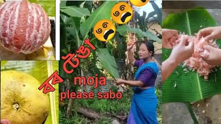 বৰ টেঙা  New Mising Vlog  Torali Official [upl. by Yer]