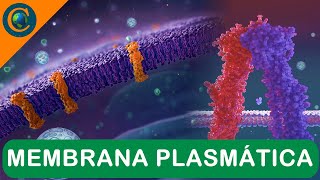 CITOLOGIA  MEMBRANA PLASMÁTICA [upl. by Rednaeel]