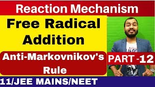 Reaction Mechanism 12  Free Radical Addition  Anti Markovnikovs Rule  JEE MAINSNEET [upl. by Trevethick]