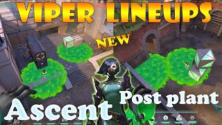 Top 15 New Ascent Viper Post Plant Lineups  Viper Lineups Ascent  Viper Guide Ascent [upl. by Llevrac]