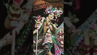 Tomra Krishna Bhojo Harir Nam Bhajo bharatiyasanskritibangla [upl. by Drucilla]