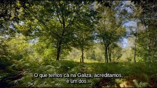 Galicia and Druidry interview  Galiza e a Druidaria entrevista [upl. by Zoba]