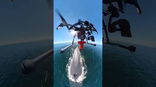 This is how scientists monitor the health of whales 🤯 Permit SGPADGVS1002221 drone tech sea [upl. by Ezri]