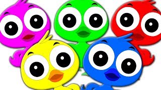 Duck Song  Video For Toddlers  Kindergarten Nursery Rhymes For Children by Kids Tv [upl. by Sukhum]